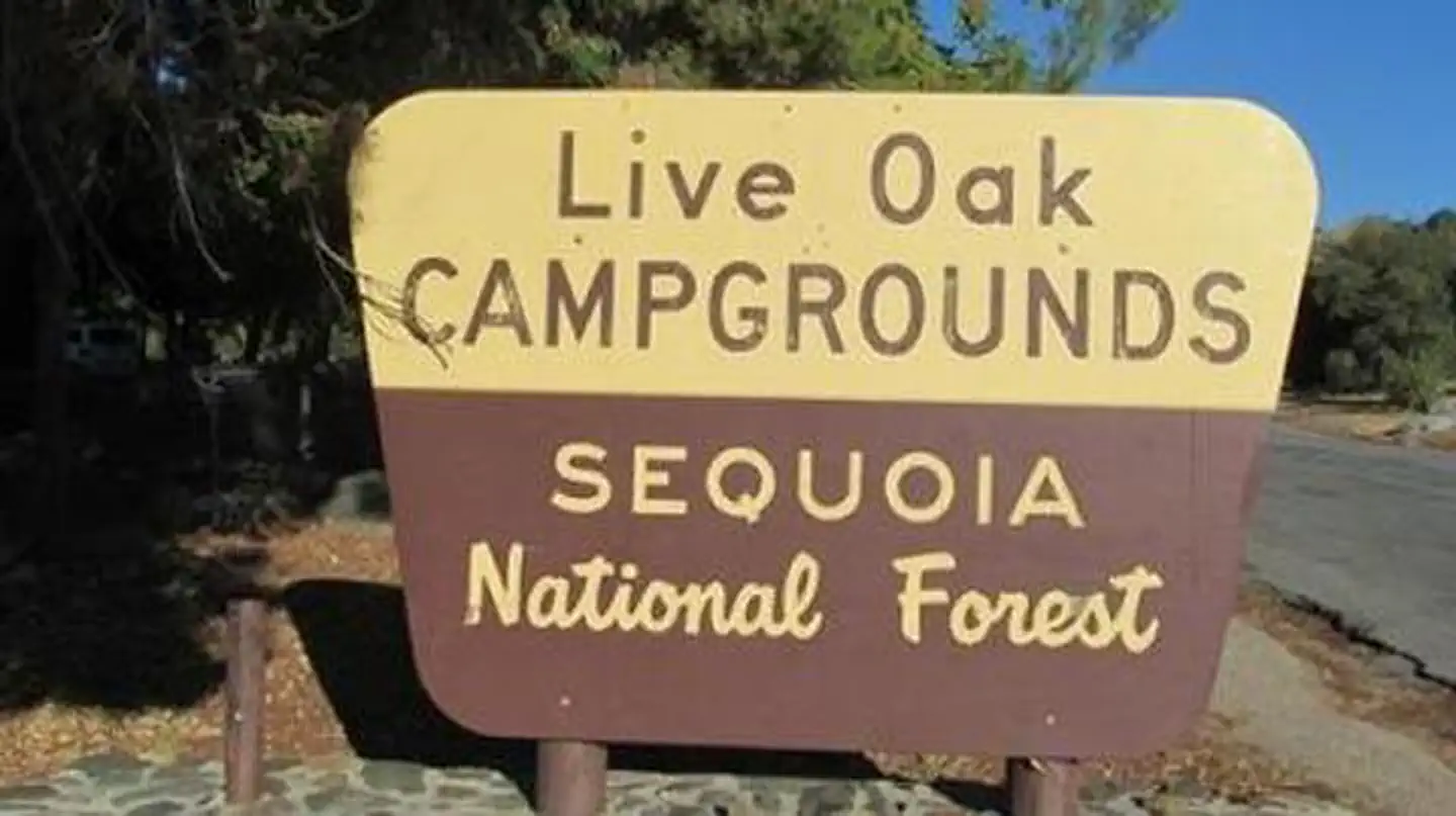 LIVE OAK SOUTH photo