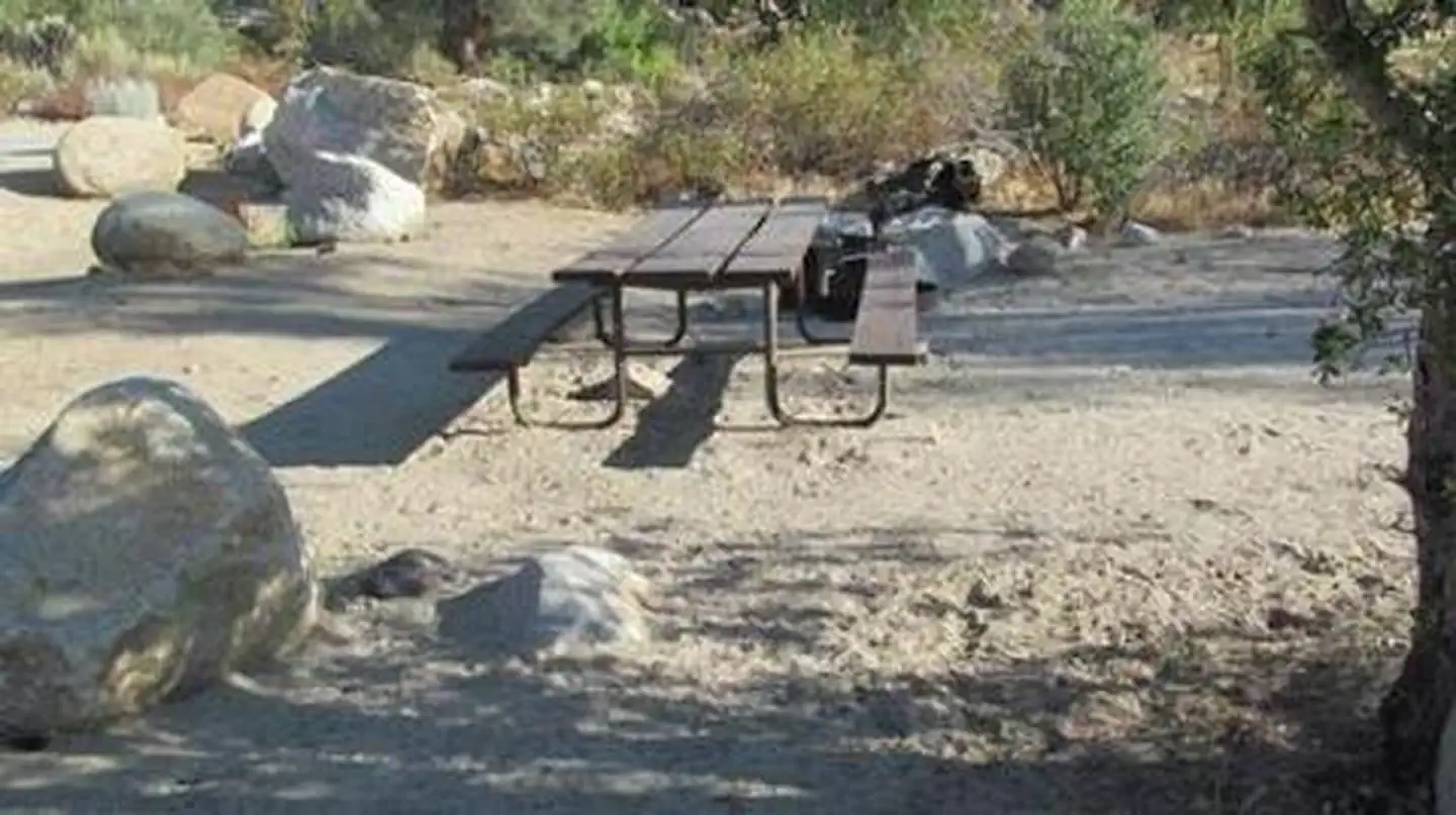 LIVE OAK SOUTH photo 2