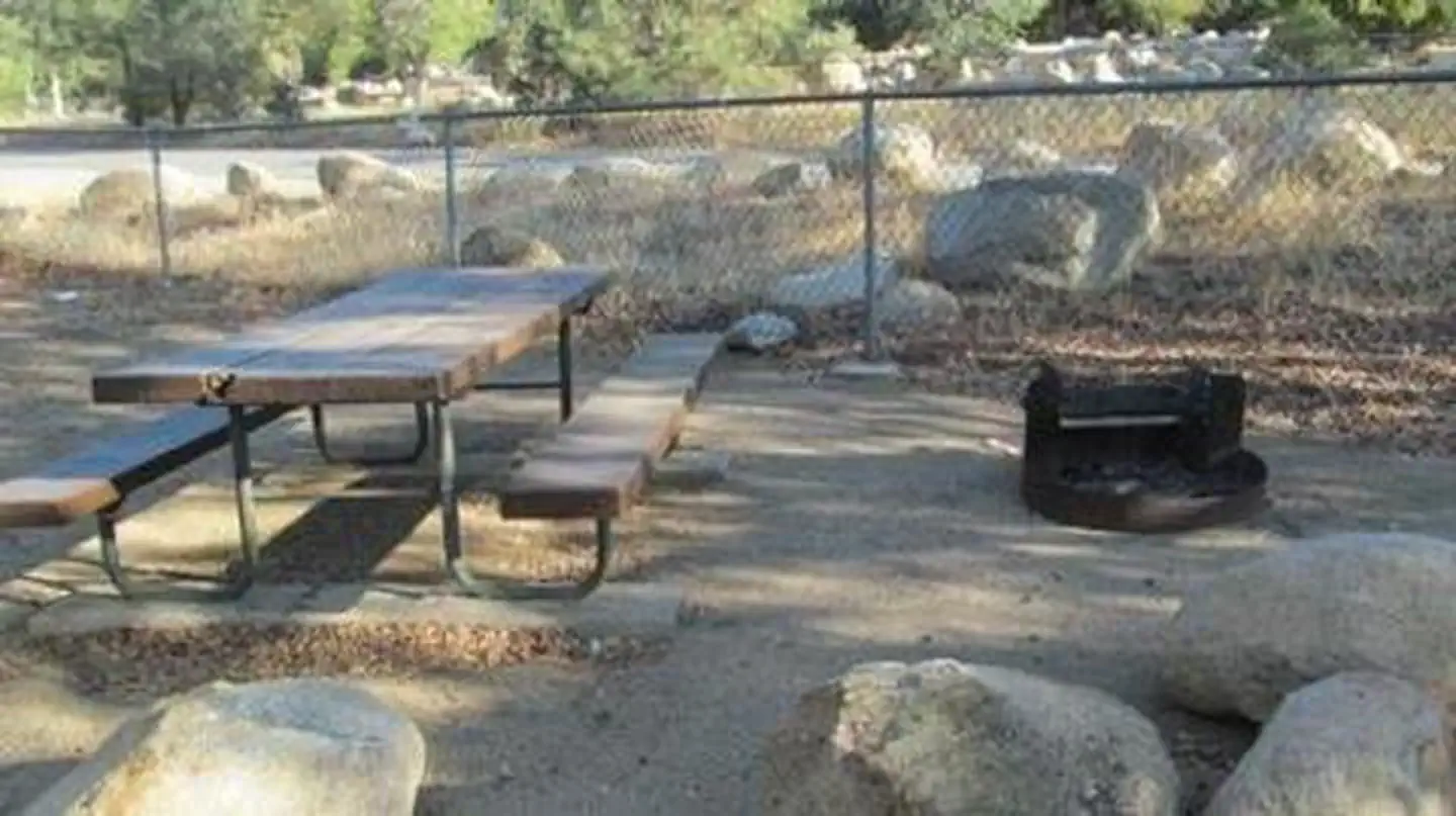 LIVE OAK SOUTH photo 4