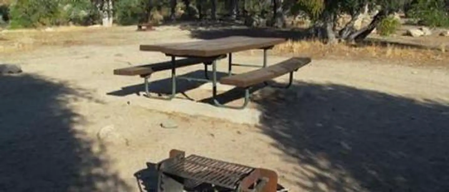 LIVE OAK SOUTH photo 5