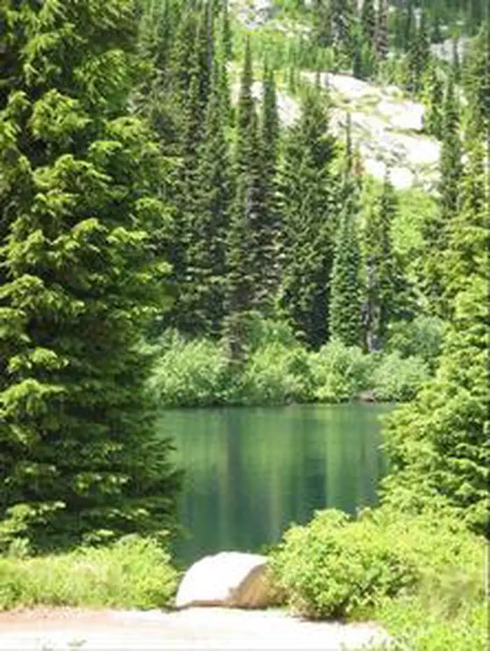 LIZ BUTTE CABIN photo 3
