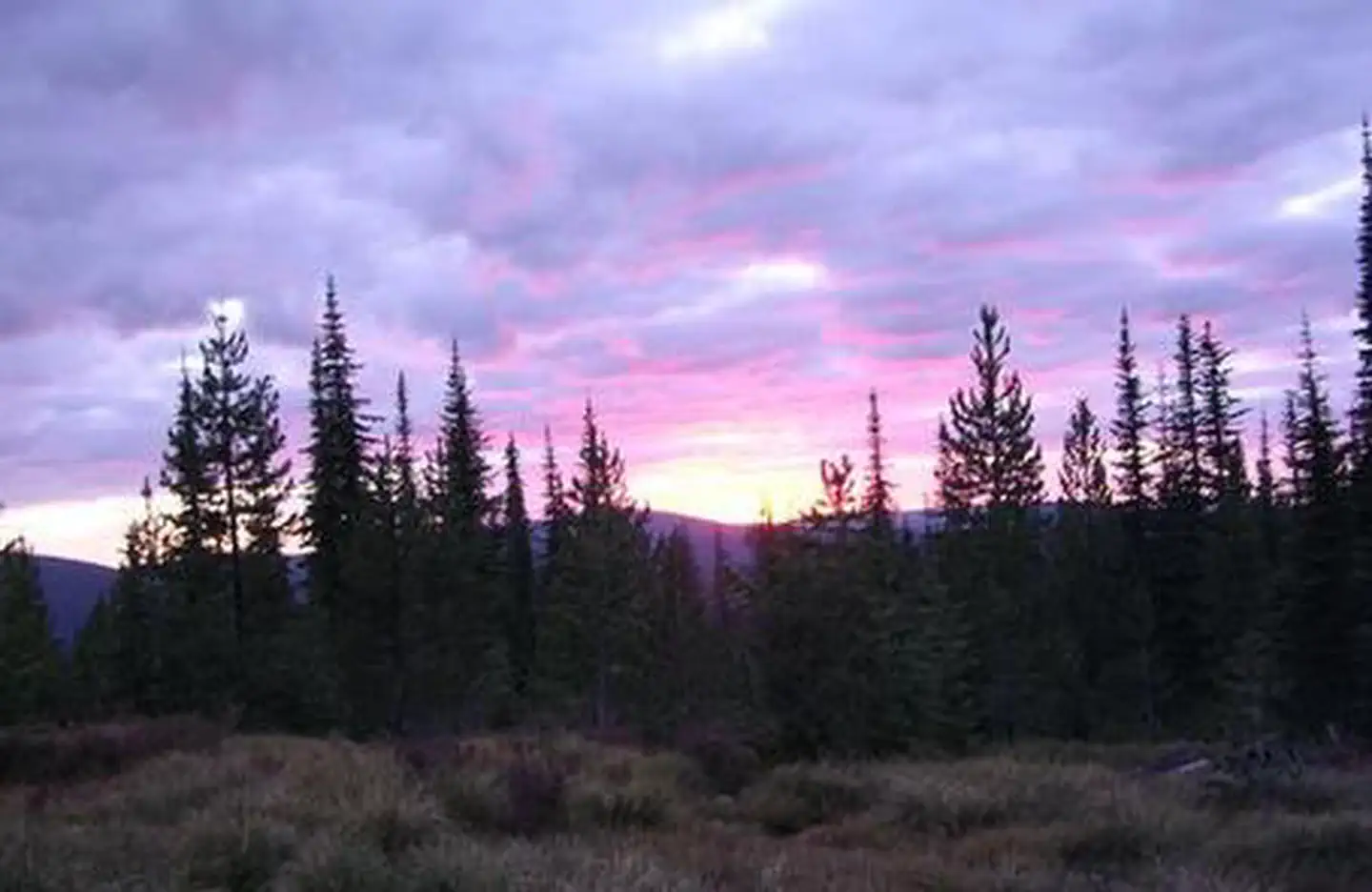 LIZ BUTTE CABIN photo 4