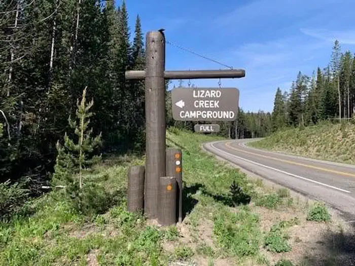 Lizard Creek Campground photo 2
