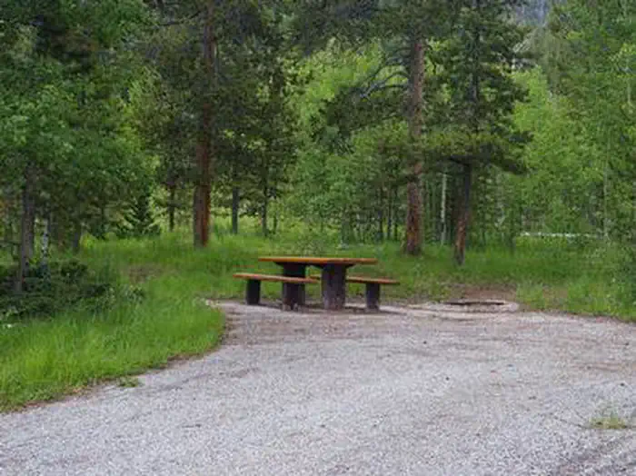 LODGEPOLE AT FLAMING GORGE photo 2