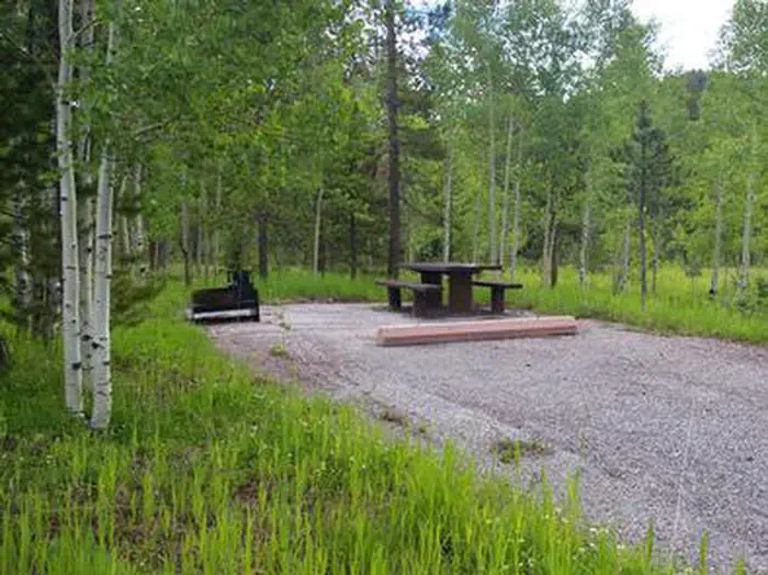LODGEPOLE AT FLAMING GORGE photo 3