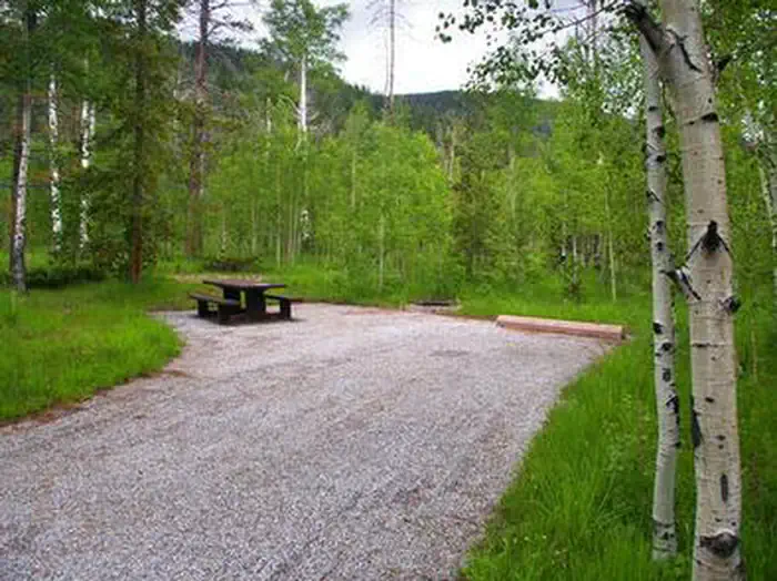 LODGEPOLE AT FLAMING GORGE photo 5