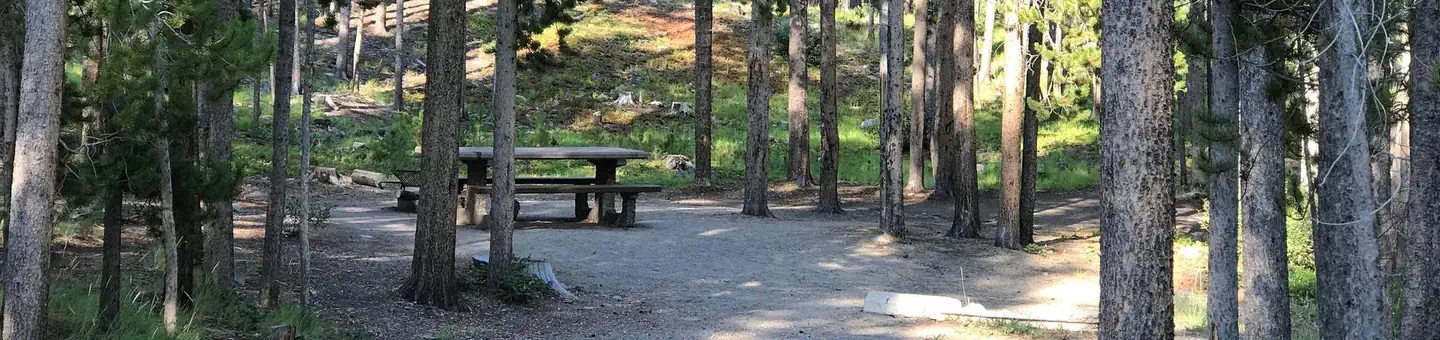 Lodgepole Campground (on Georgetown Lake, Montana) photo