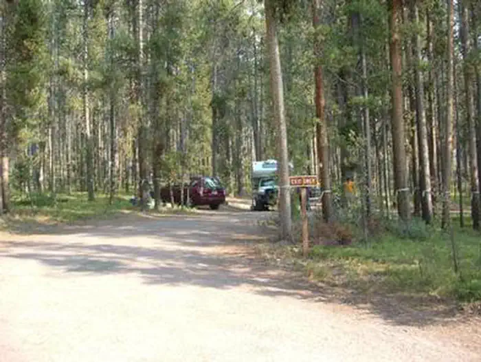 Lodgepole Campground (on Georgetown Lake, Montana) photo 4
