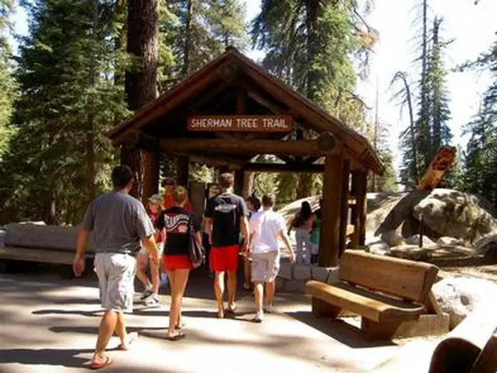 Lodgepole Campground-Sequoia and Kings Canyon National Park photo 3