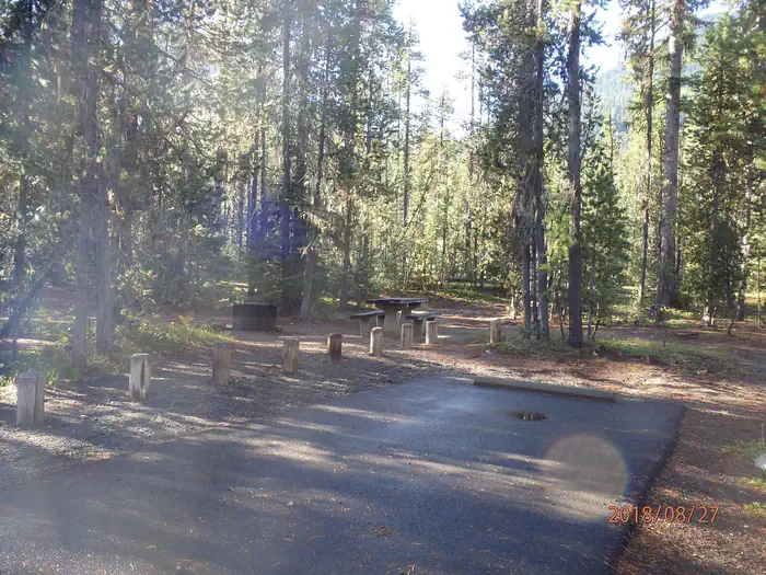 Lodgepole Campground (Washington) photo 4