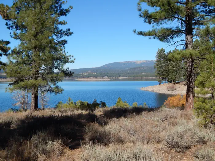LOGGER CAMPGROUND photo 2