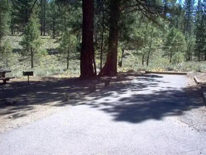 LOGGER CAMPGROUND photo 4