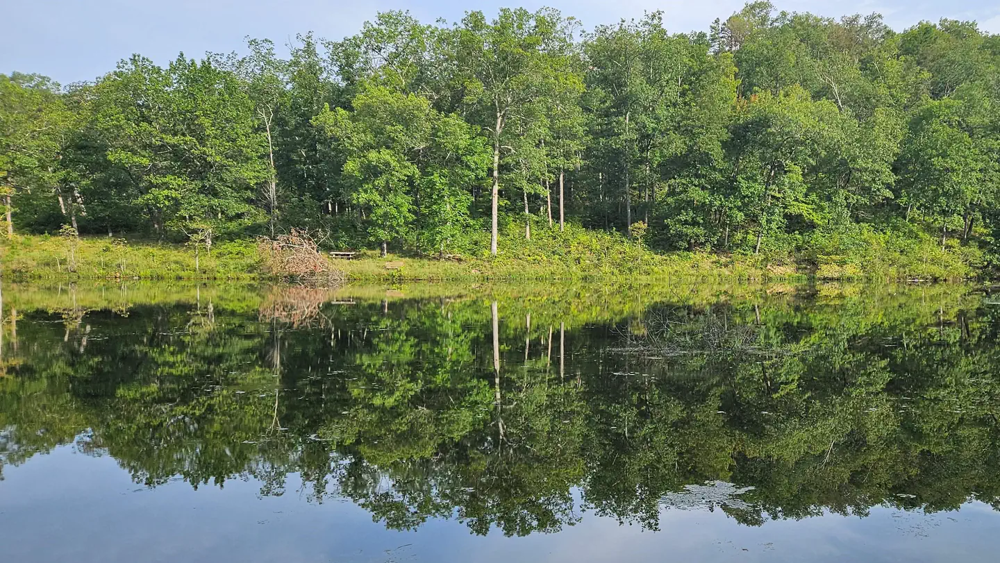 LOGGERS LAKE CAMPGROUND photo