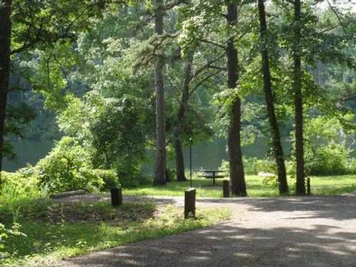 LOGGERS LAKE CAMPGROUND photo 5