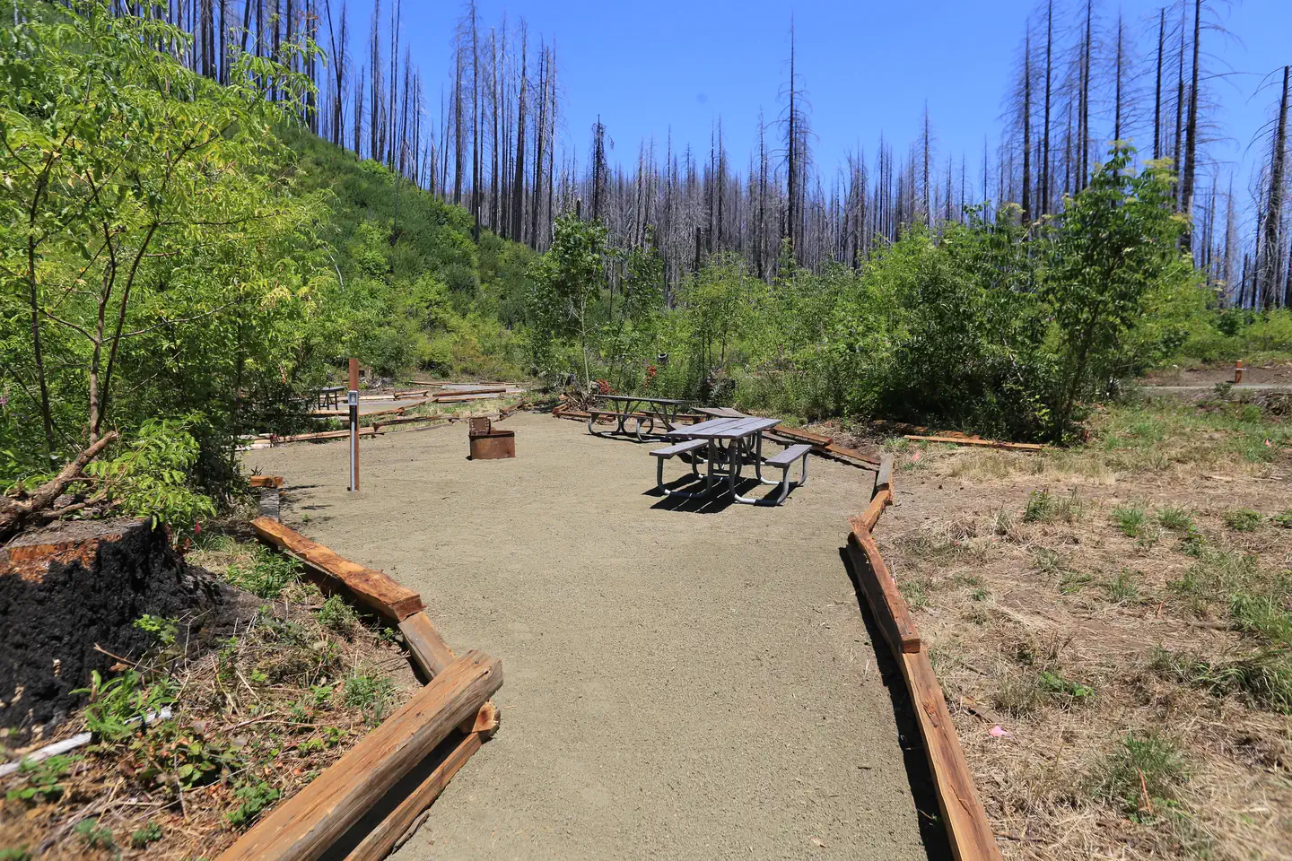 Lone Pine Group Campground photo 4