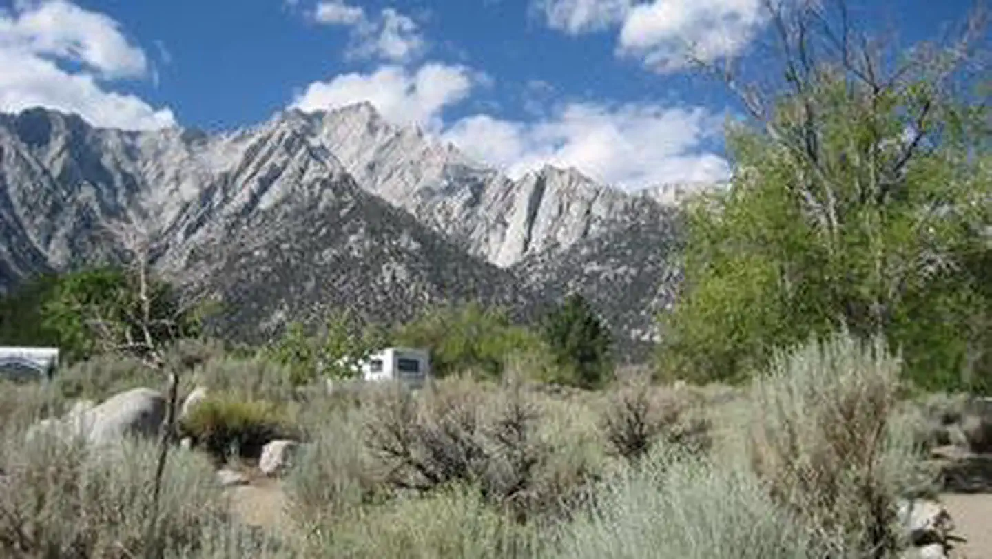 LONE PINE photo