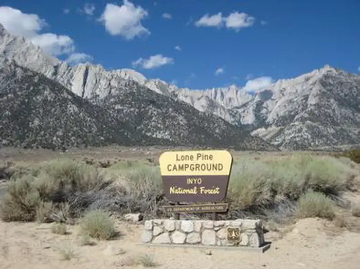 LONE PINE photo 2