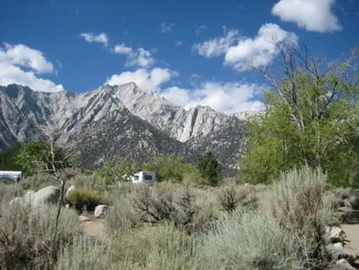LONE PINE photo 3