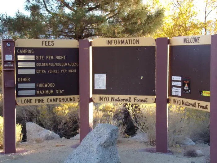 LONE PINE photo 5