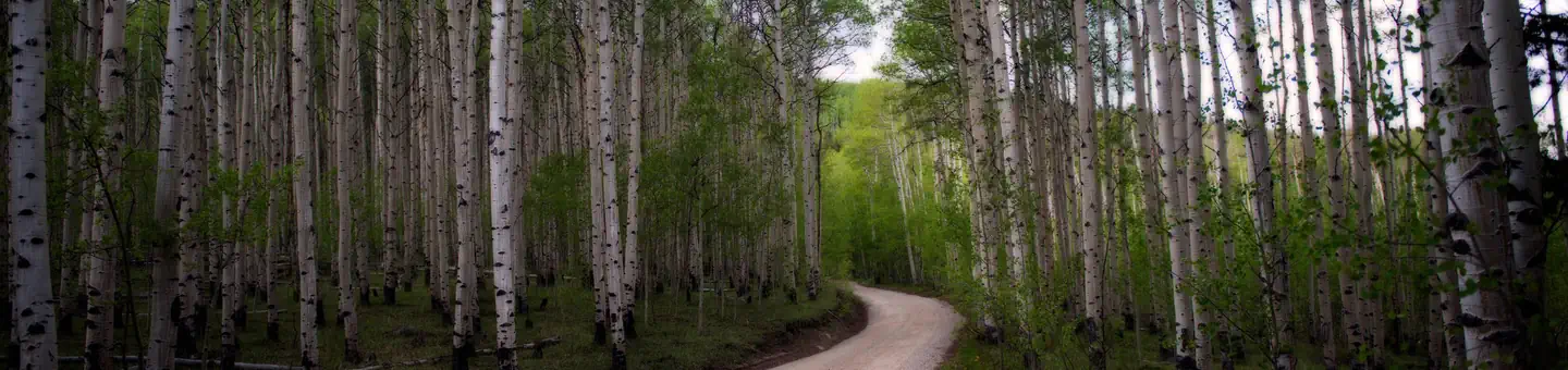 LONE ROCK CAMPGROUND (CO) photo