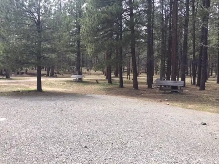 Long Valley Group Campground photo 2