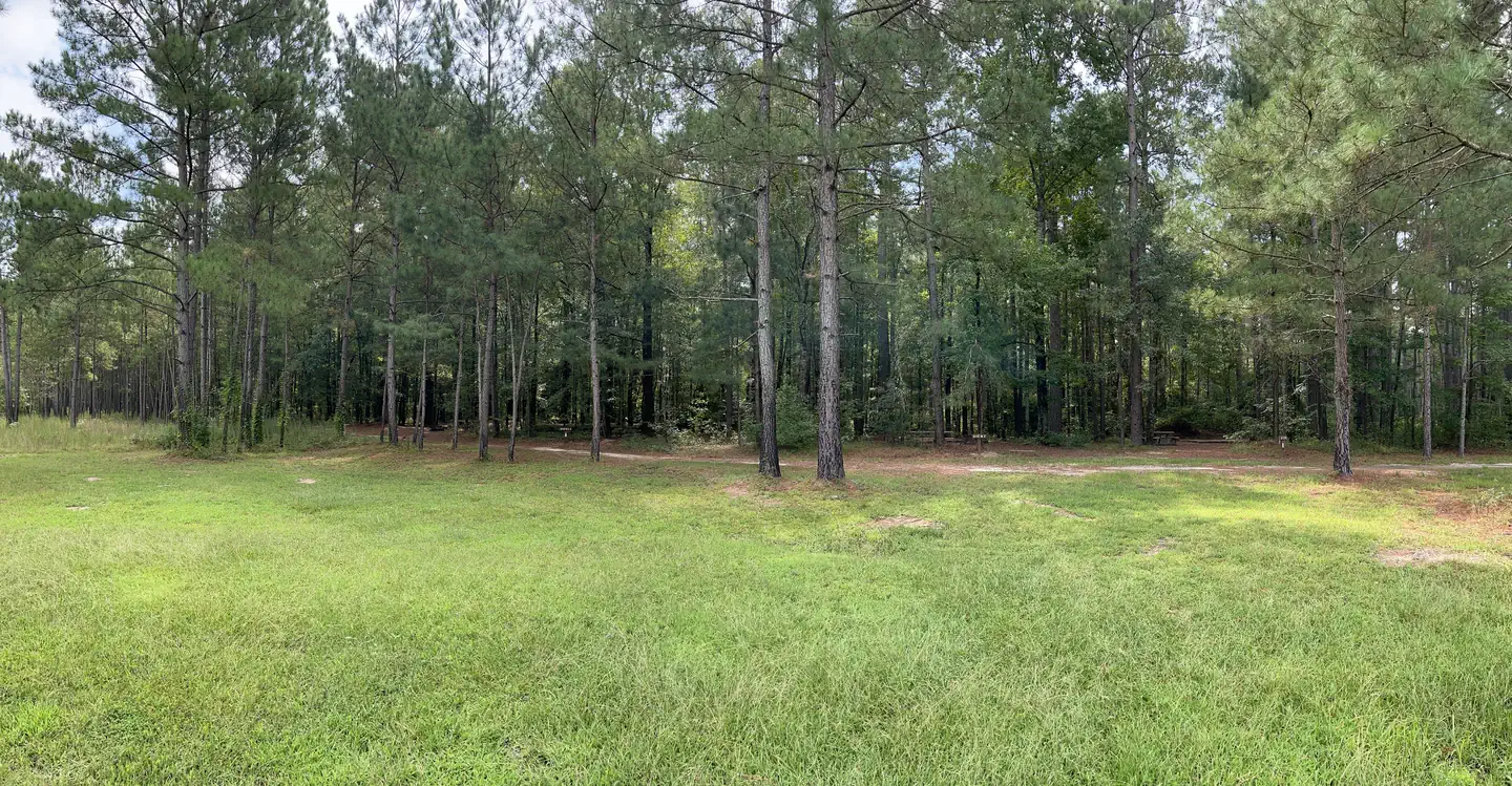 Longleaf Campground photo 2