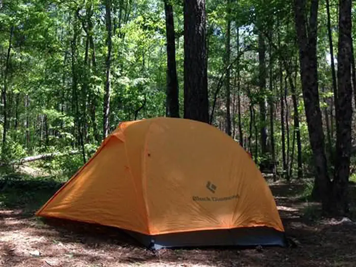 Longleaf Campground photo 3