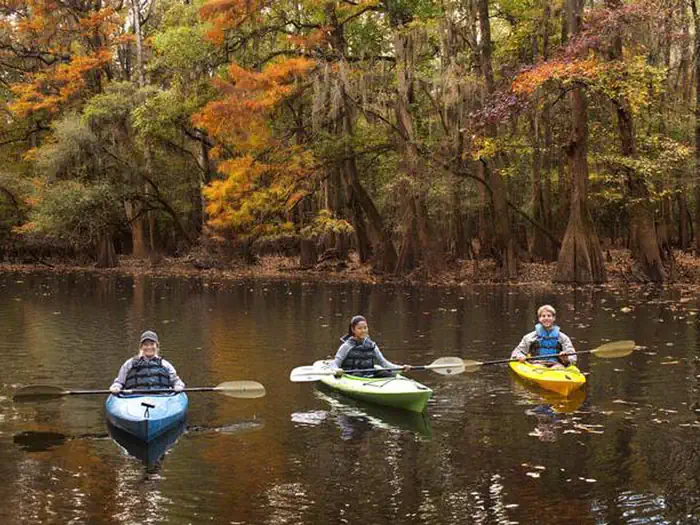 Longleaf Campground photo 5