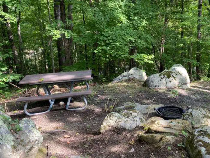 Look Rock Campground photo 2