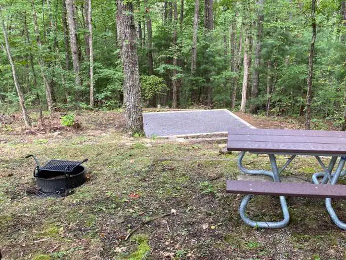 Look Rock Campground photo 4