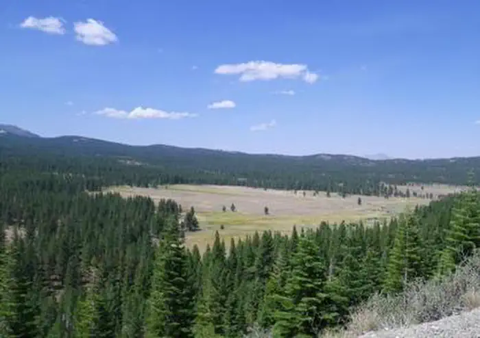 Lookout Campground photo