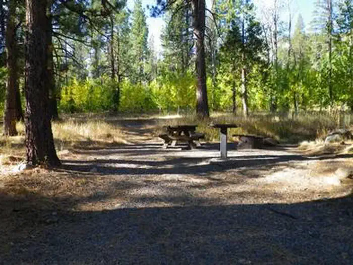 Lookout Campground photo 5