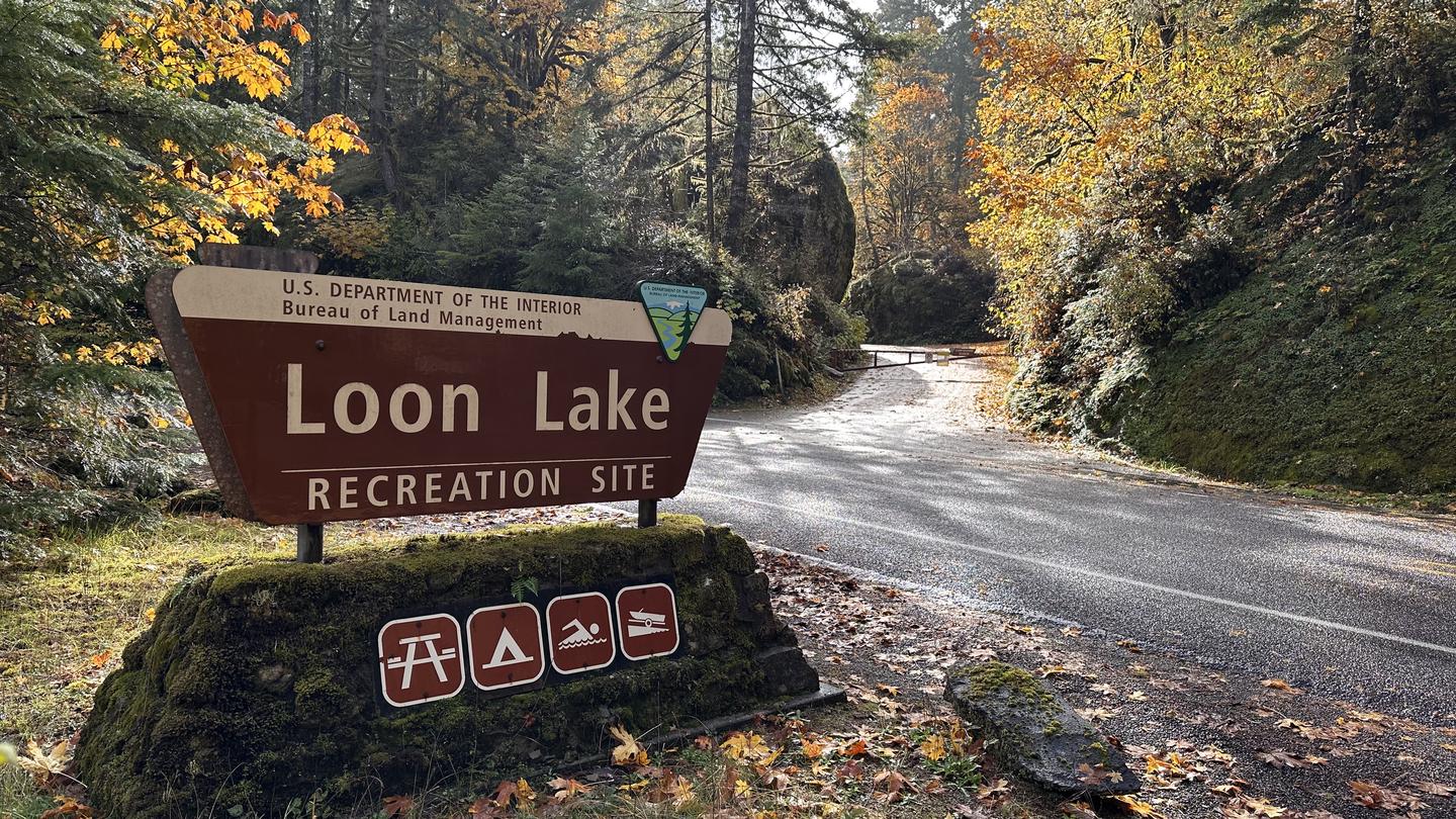 LOON LAKE RECREATION SITE photo