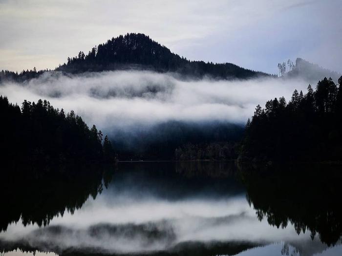 LOON LAKE RECREATION SITE photo 2