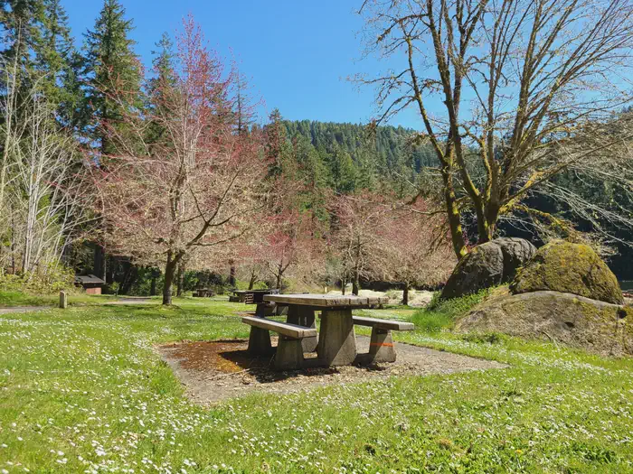 LOON LAKE RECREATION SITE photo 3