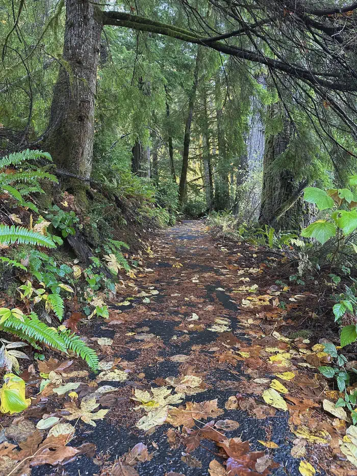LOON LAKE RECREATION SITE photo 4