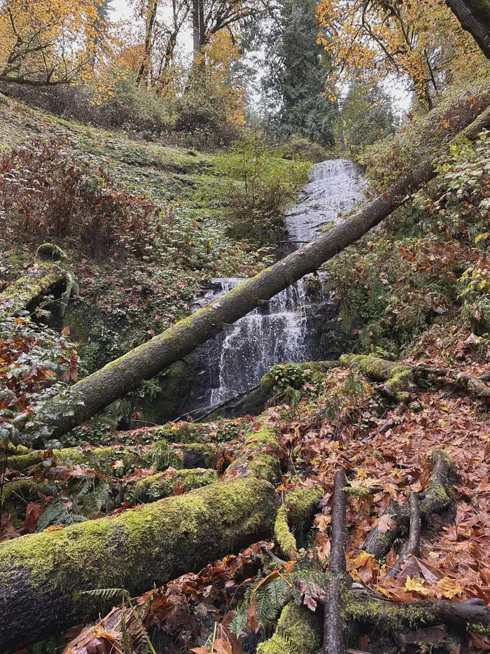 LOON LAKE RECREATION SITE photo 5