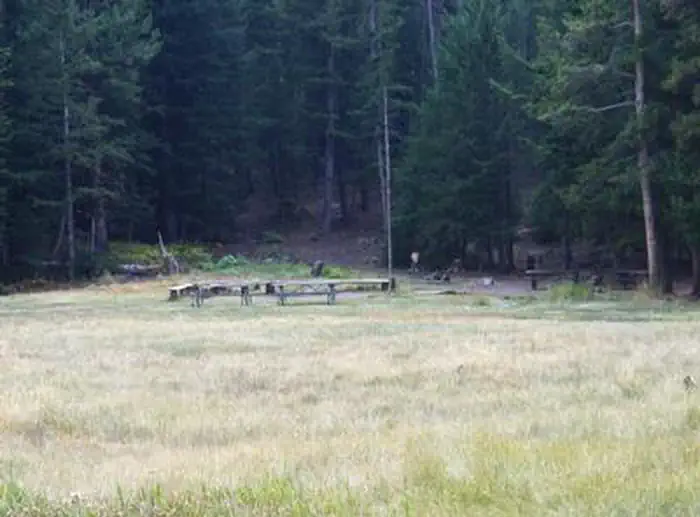 LORISTICA GROUP CAMPGROUND photo