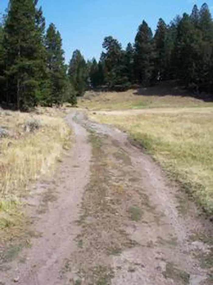 LORISTICA GROUP CAMPGROUND photo 3