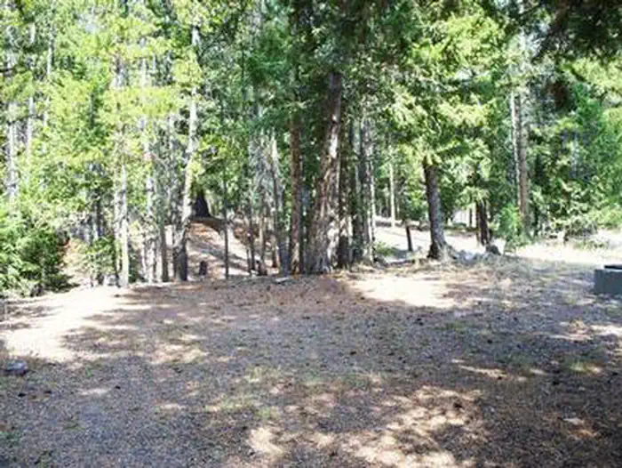 LORISTICA GROUP CAMPGROUND photo 4