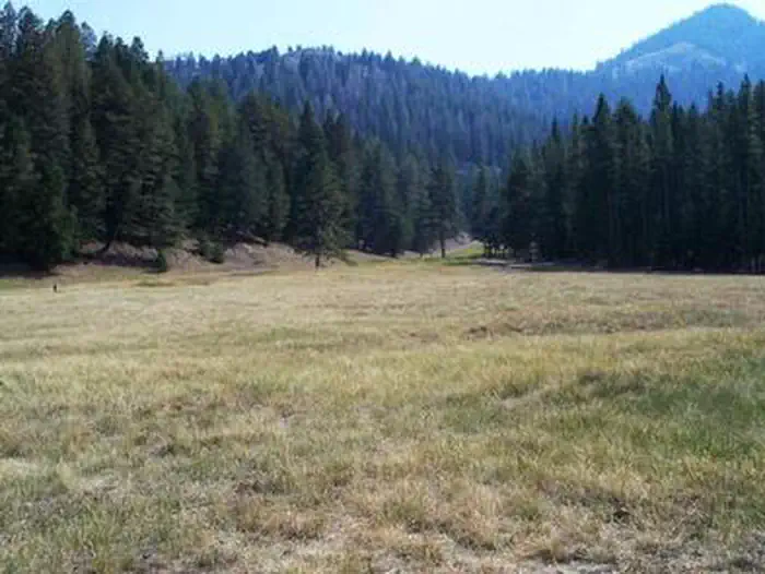 LORISTICA GROUP CAMPGROUND photo 5