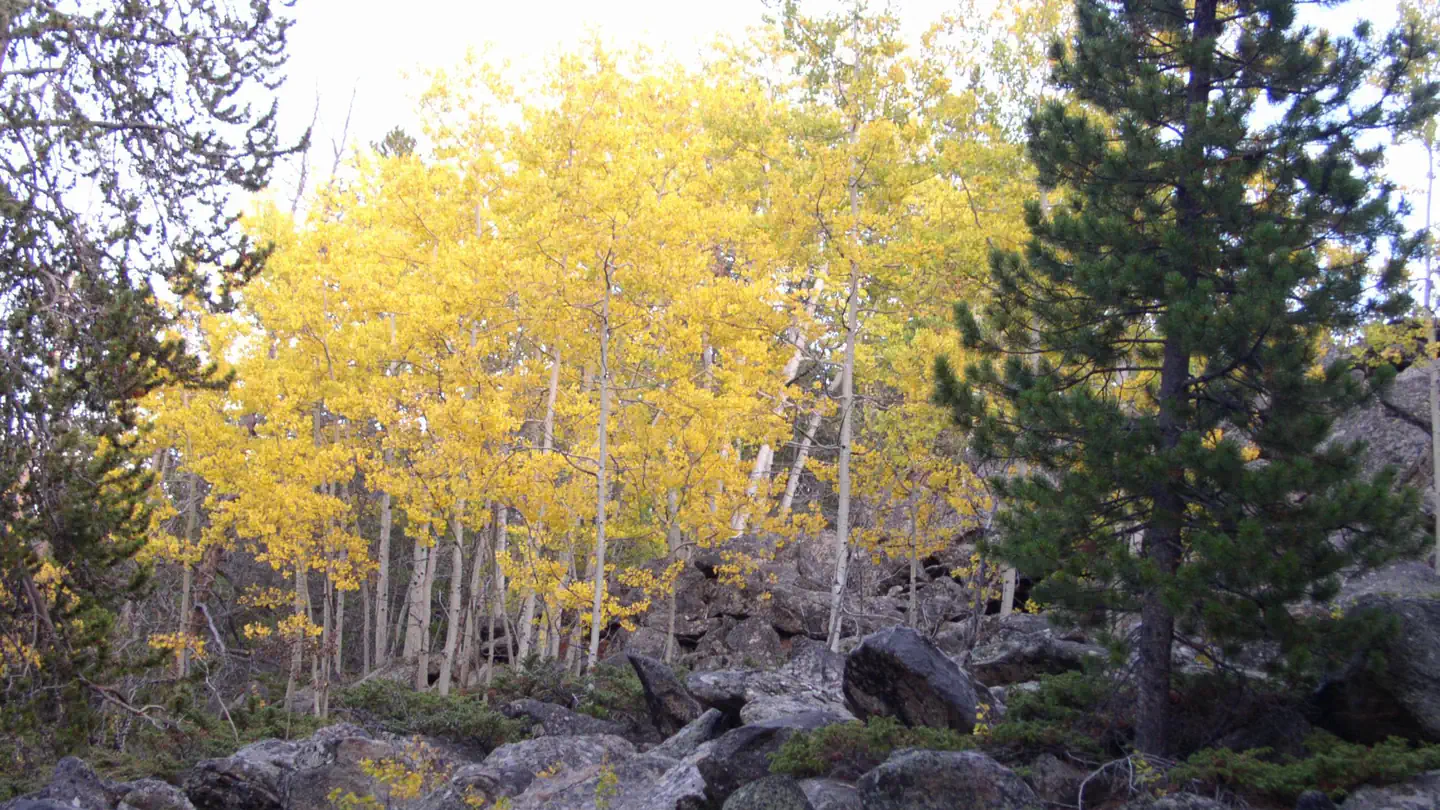 LOST CABIN CAMPGROUND photo