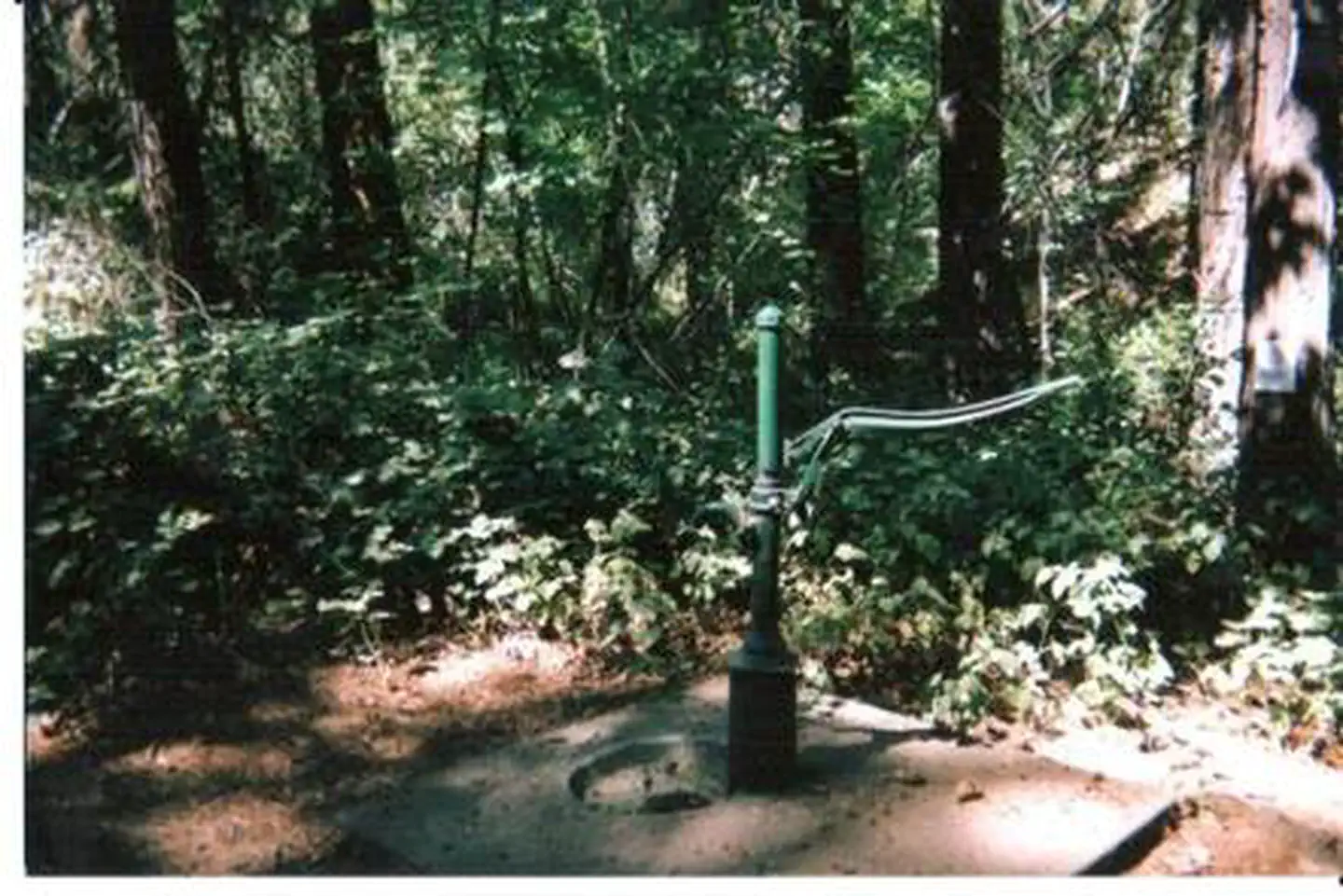 LOST CLAIM photo 4
