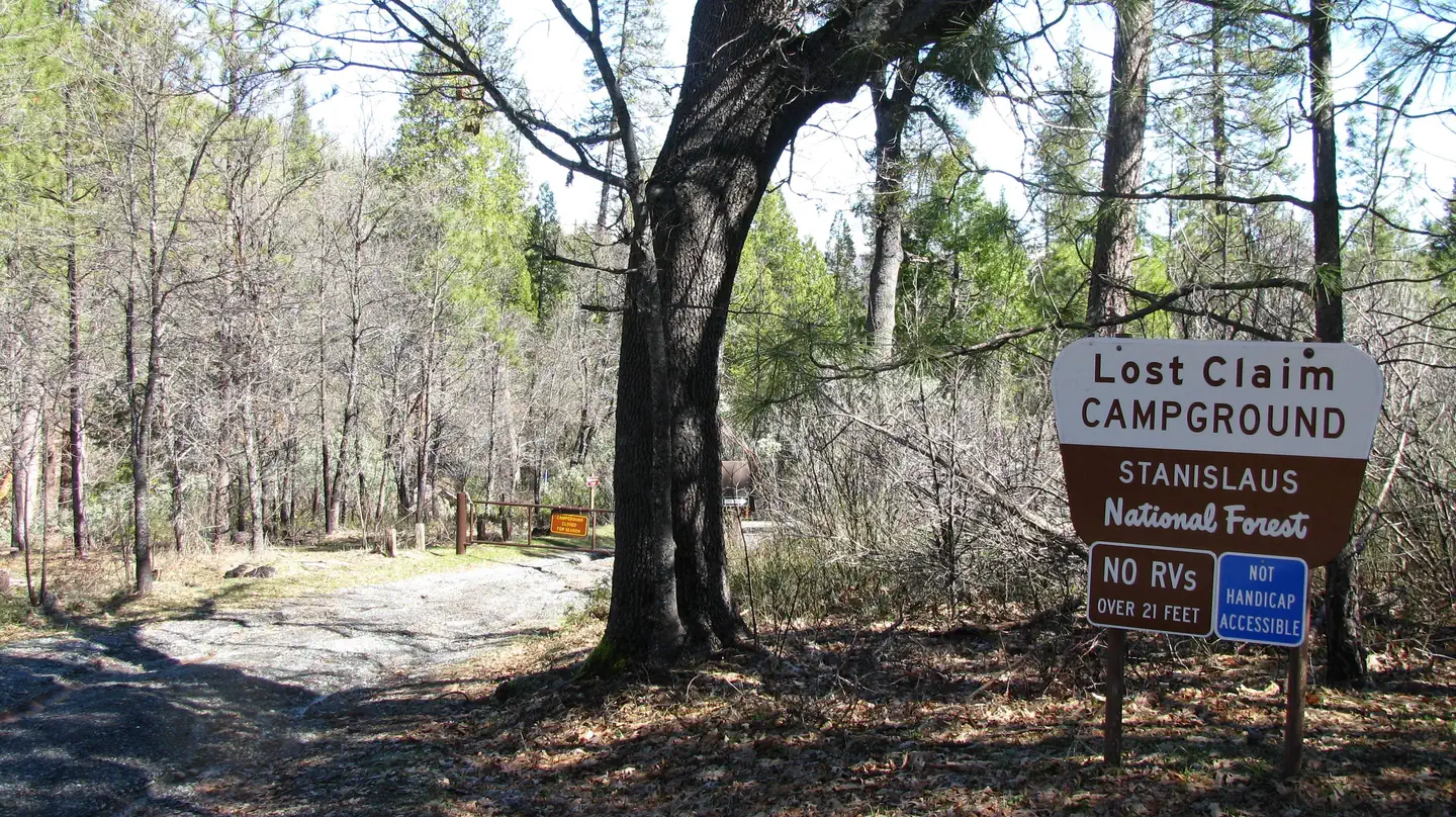 LOST CLAIM photo 5