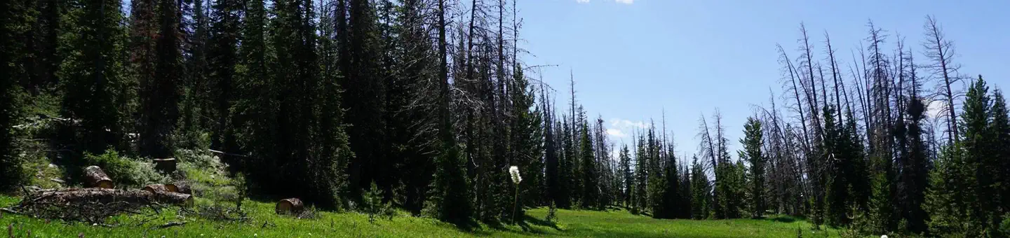LOST CREEK CAMPGROUND photo