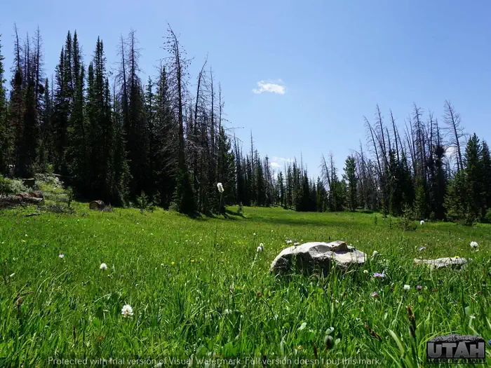 LOST CREEK CAMPGROUND photo 2