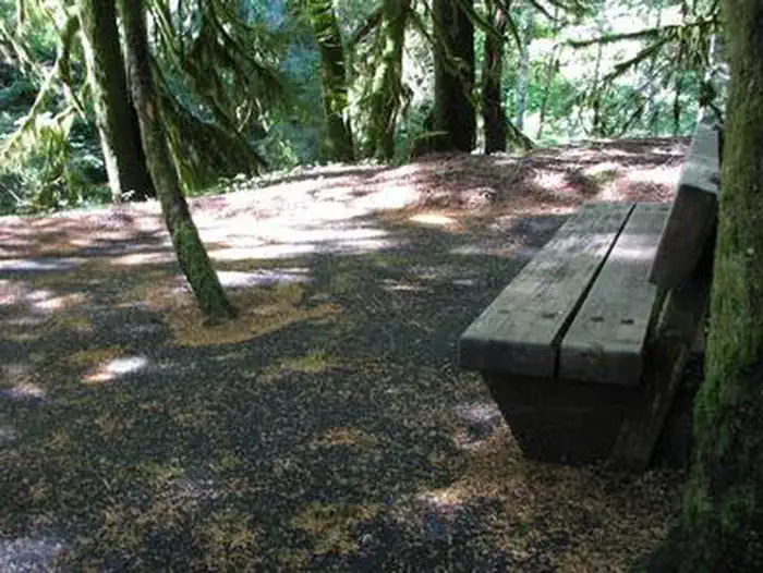 LOST CREEK photo 4