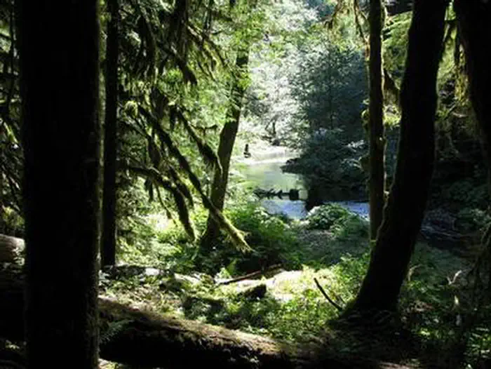 LOST CREEK photo 5