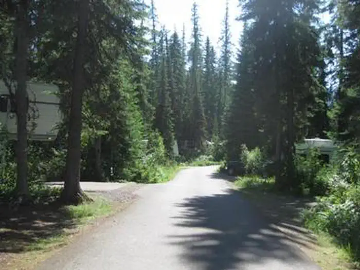 LOST JOHNNY POINT CAMPGROUND photo 5