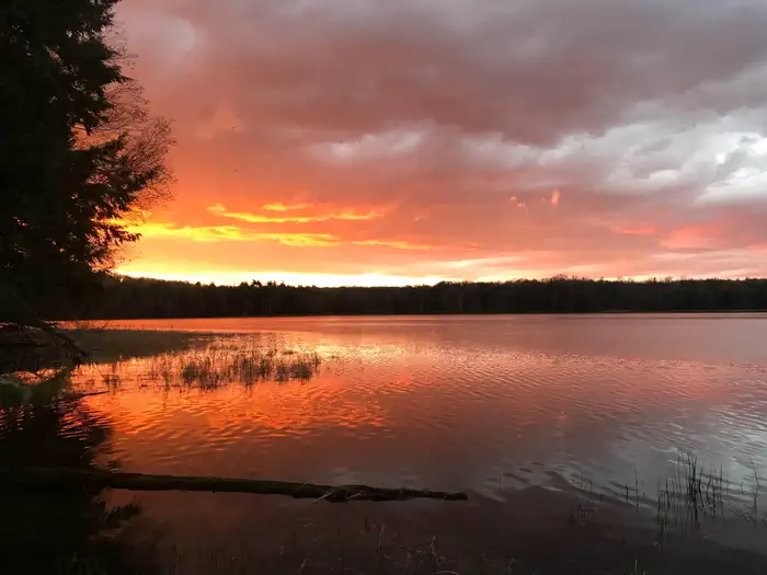 LOST LAKE CABINS photo 4